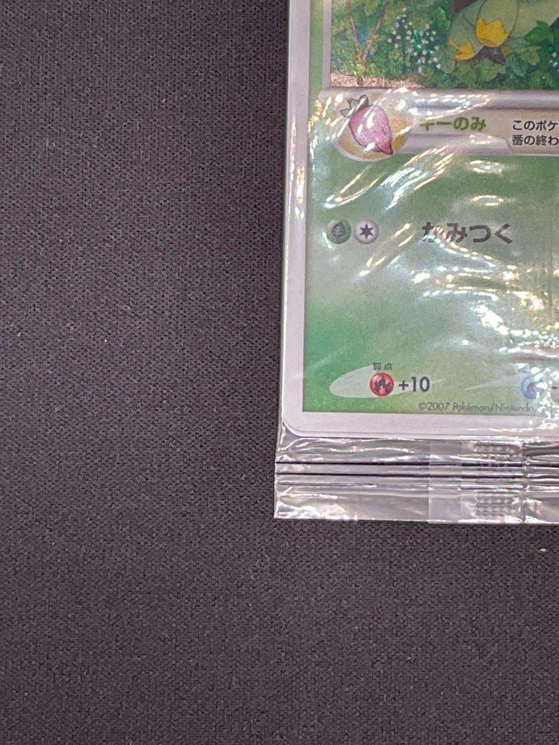 ナエトル LV.9 001/PPP 未開封 未開封プロモ】 ナエトルLV.9 001/PPP 他2枚同封 – 晴れる屋2