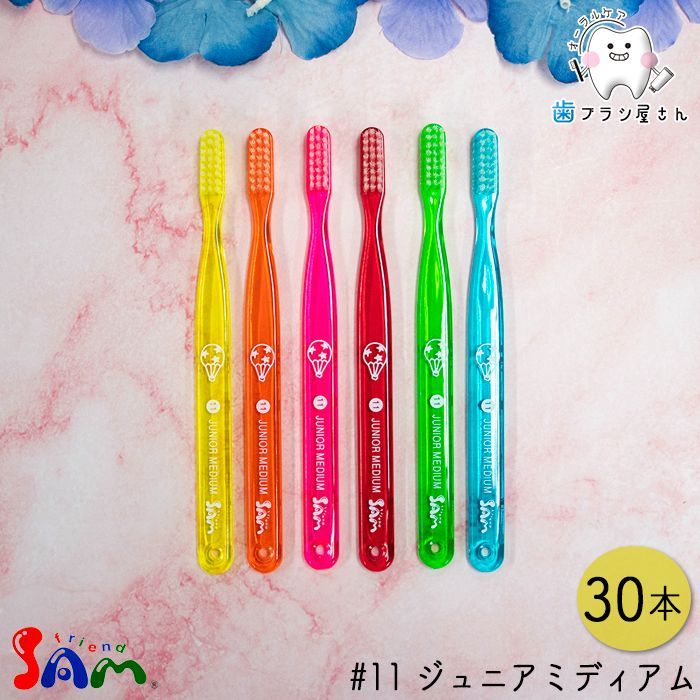 SAM friend サム フレンド #11 ジュニアミディアム ふつう 30本