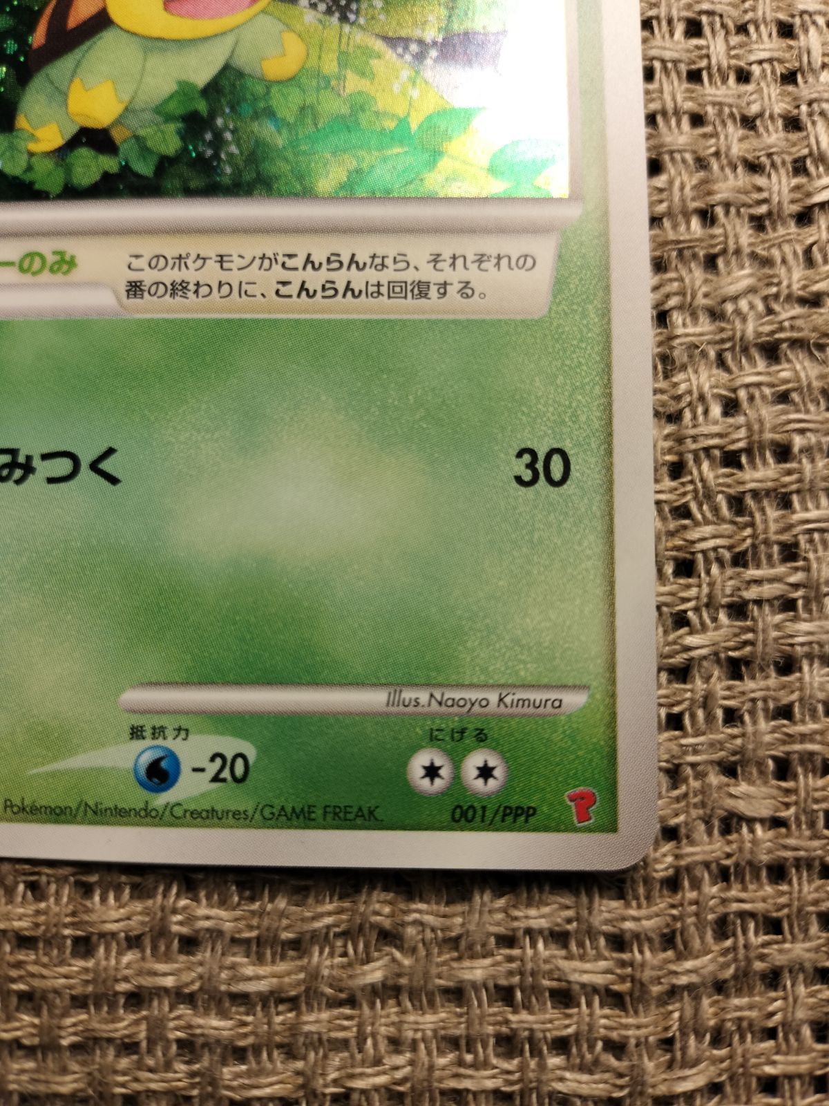 NO005_ナエトル(001/PPP)_ポケモンカード_新裏 - メルカリ