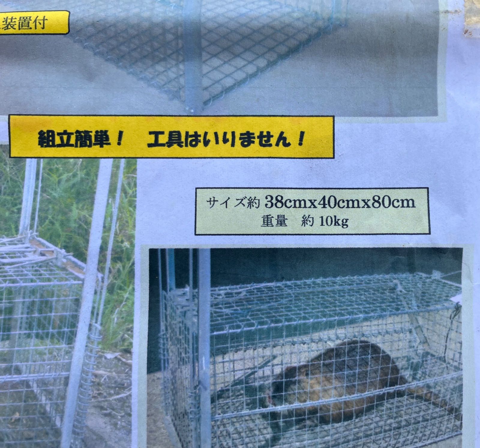 イージーキャッチャー rk