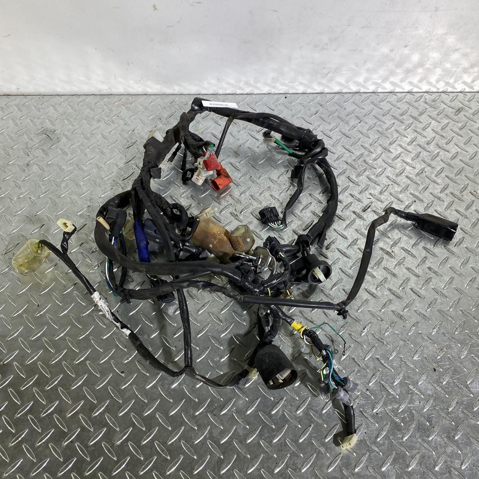 ホンダ純正 ☆レア品☆ 12v シャリー メインハーネス ☆新品 【公式 
