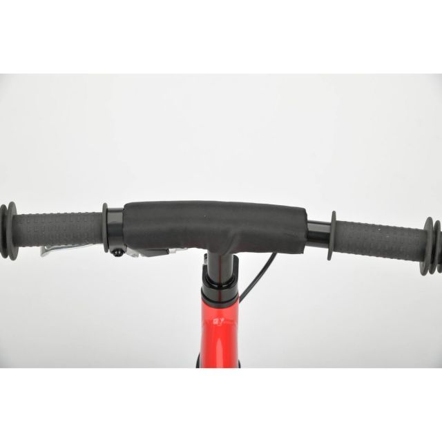 キャプテンスタッグ CAPTAIN STAG トレーニングバイク レッド YG-1461