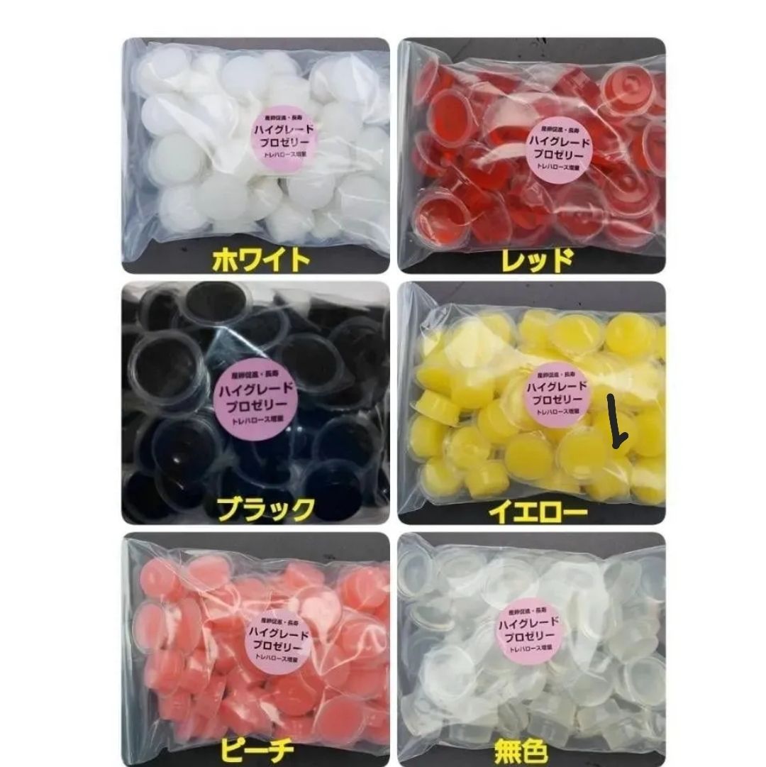 無色透明 昆虫用品 極上ハイグレードプロゼリー【500個】特殊アミノ酸強化配合