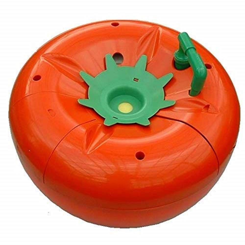 大株ビカクシダ キッチャクード コルク付 大株ビカクシダ