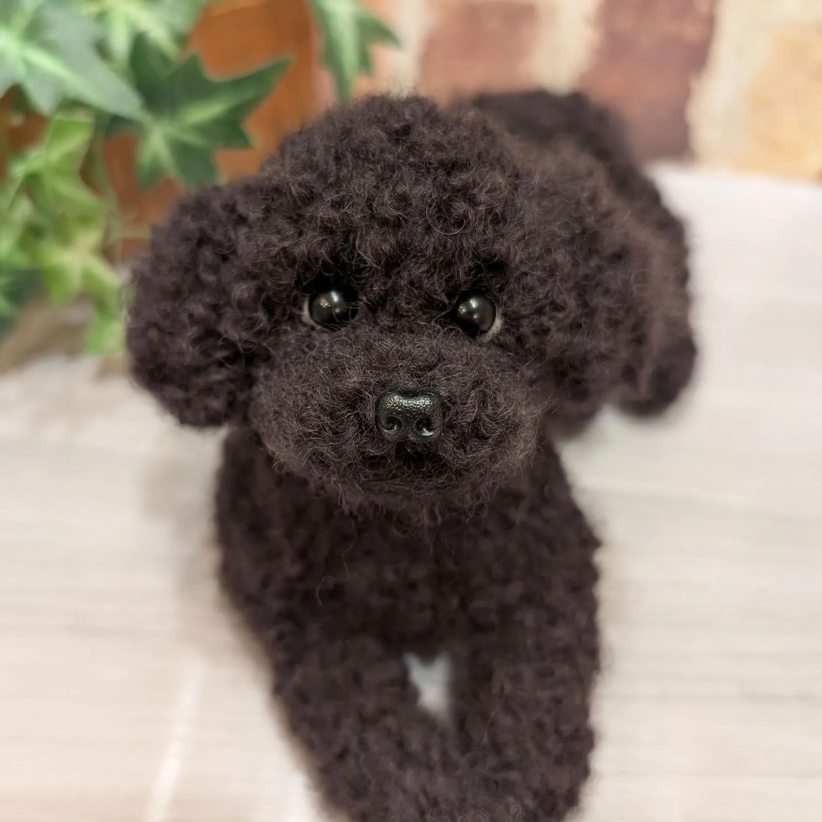 黒トイプードル大きいサイズ
