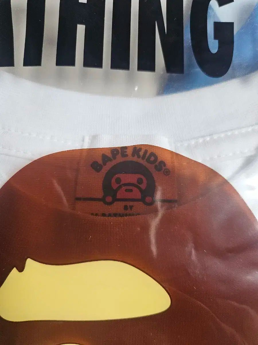 サイズ