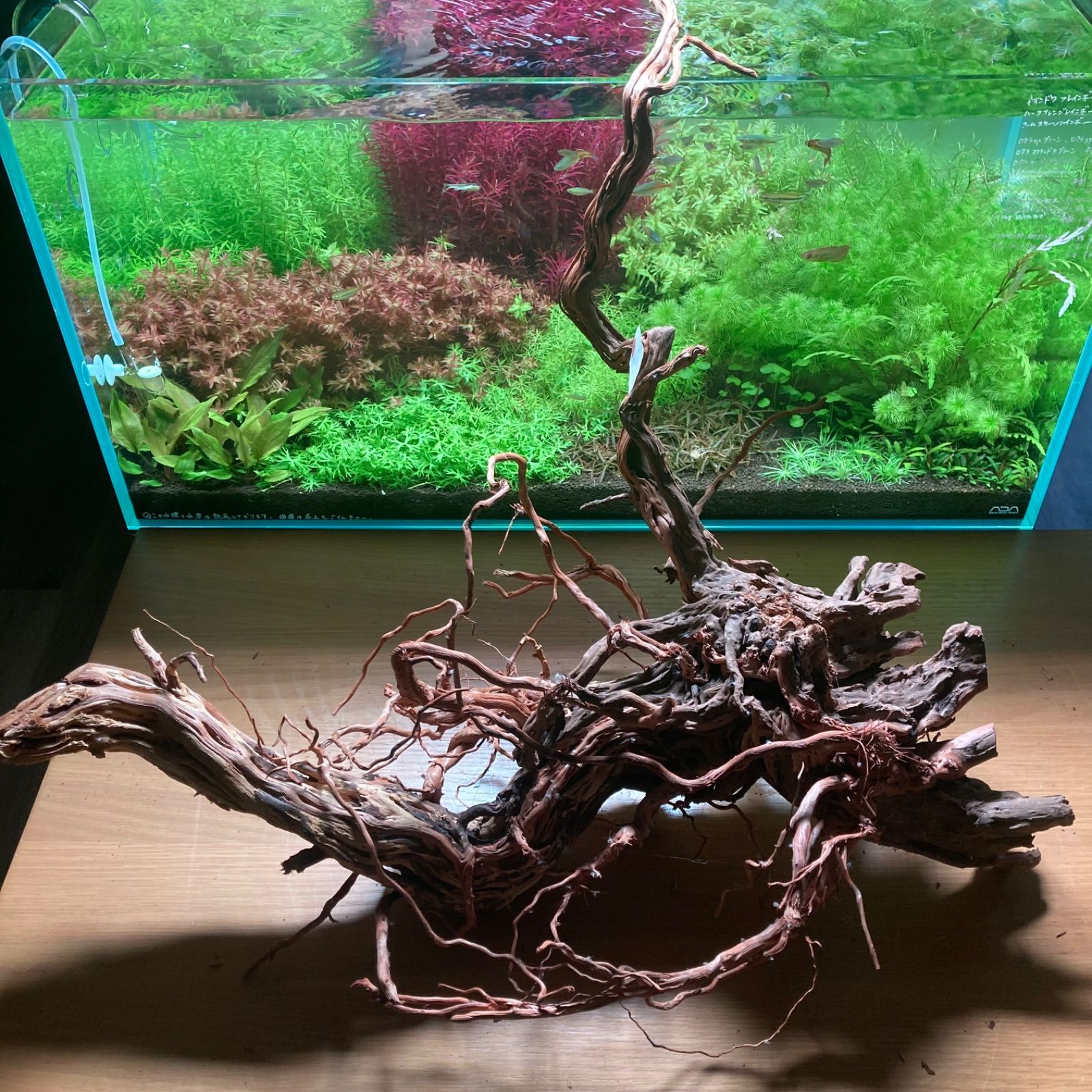 m77大型流木 アク抜き済み 爬虫類シェルター レイアウト用 インテリア