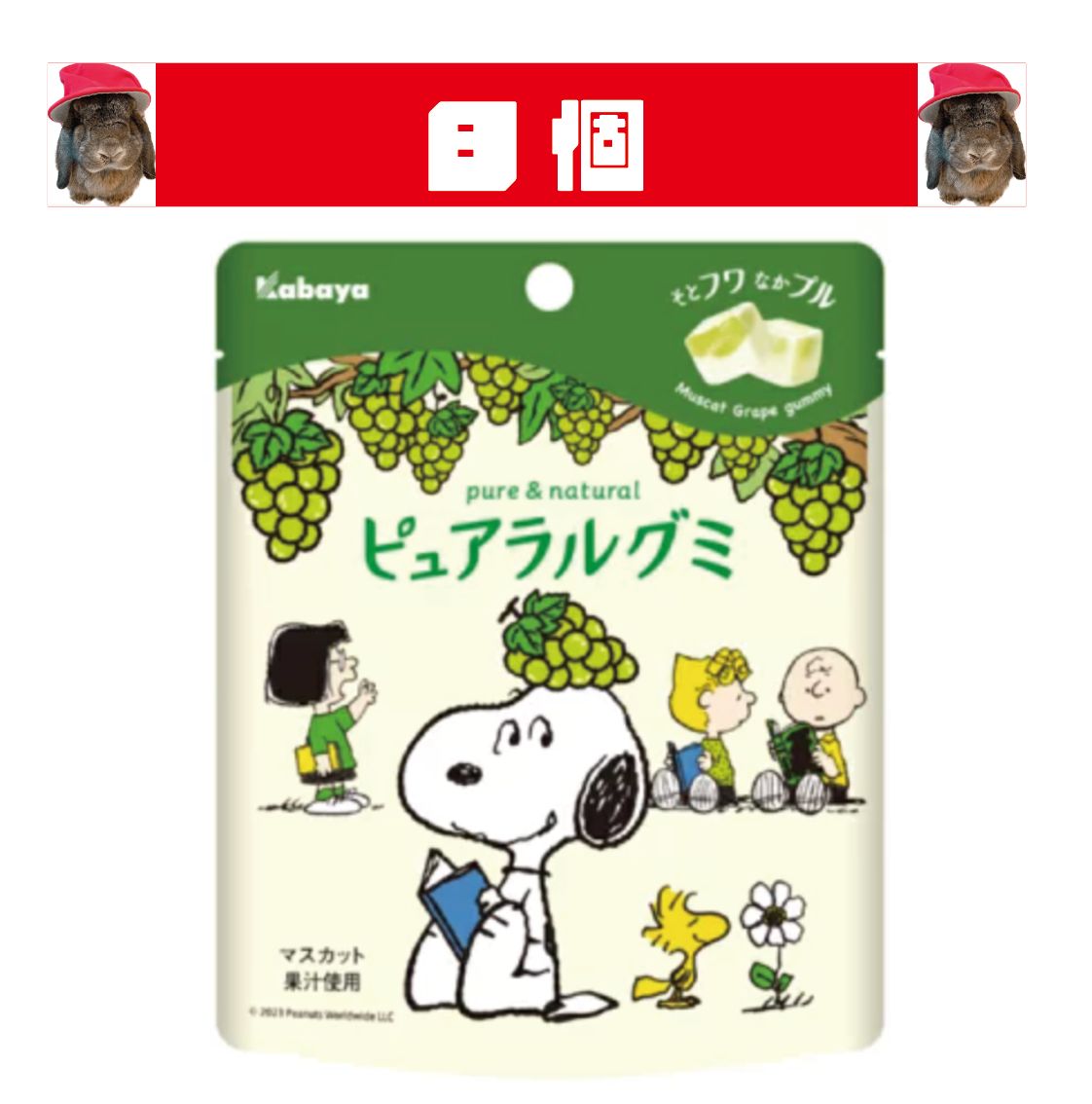 🐶🍇ラスト1セット🐶🍇スヌーピーデザイン🐶🍇カバヤ🐶🍇数量限定