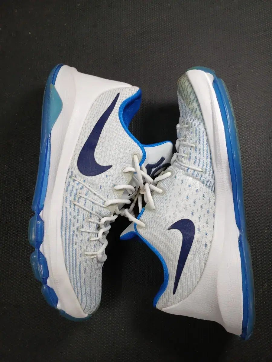 Nike バスケットボールシューズ ホワイト/ブルー Nike