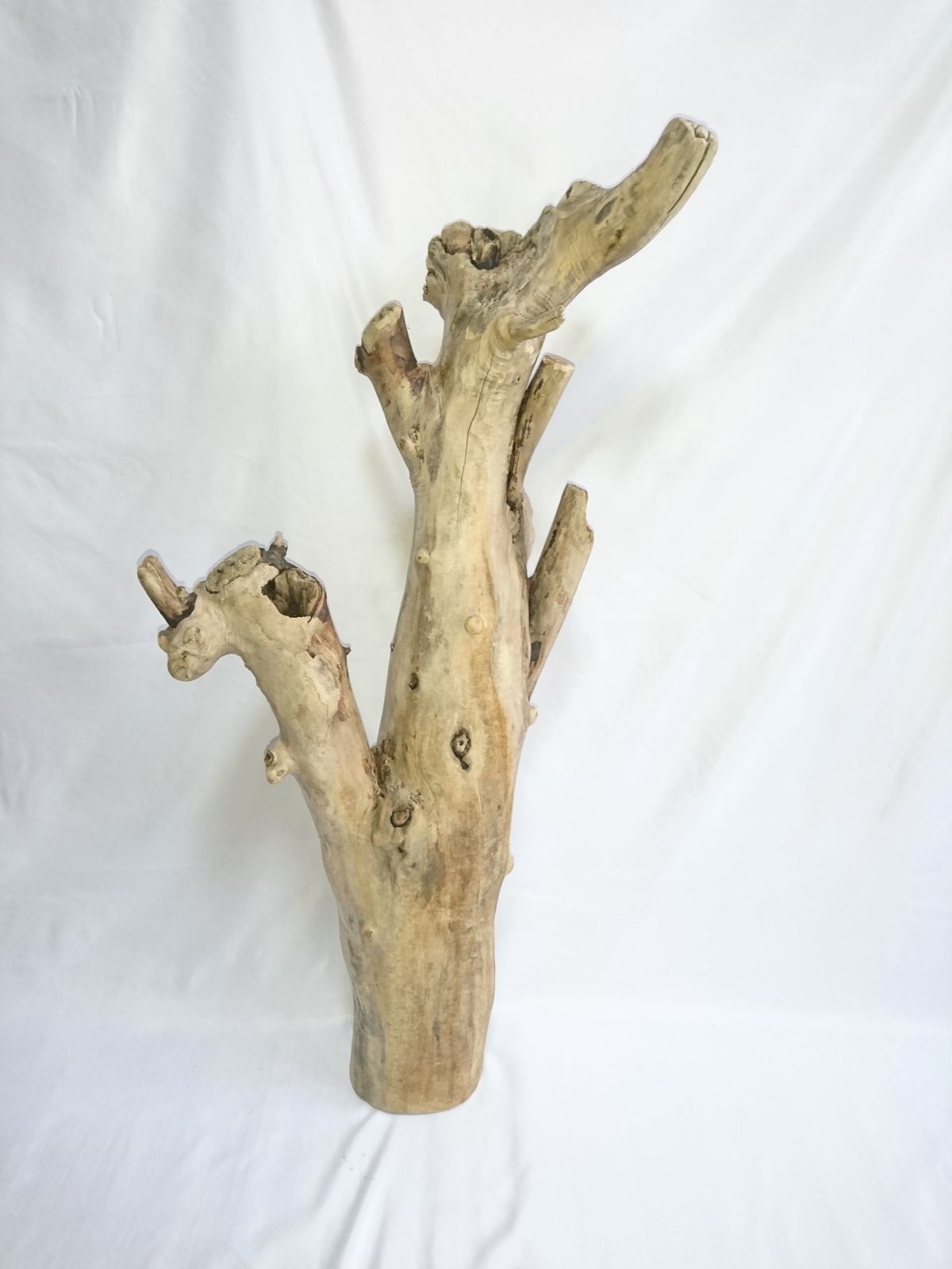 高さ86cm × 幅40cm × 奥行24cm【超重量級・特殊形状】天然流木