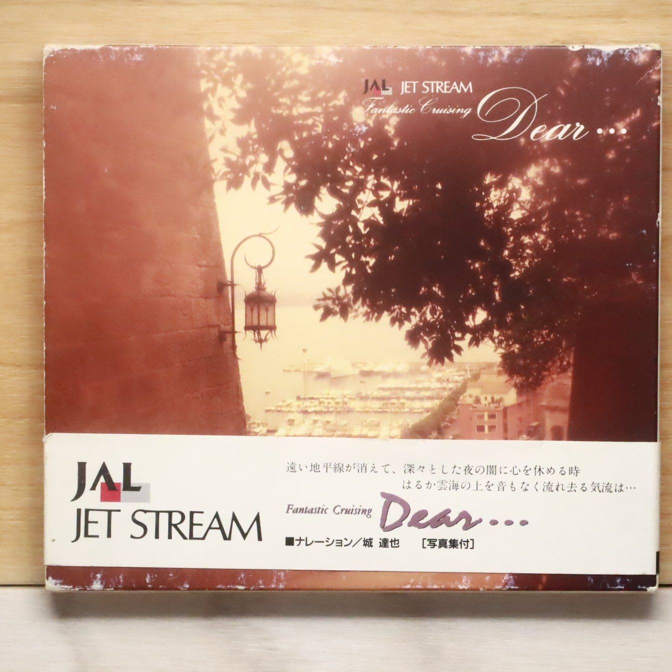 ブロンディ/愛してほしい　国内盤/7\"/PRIVATE STOCK原盤 ブロンディ/愛してほしい 国内盤/7