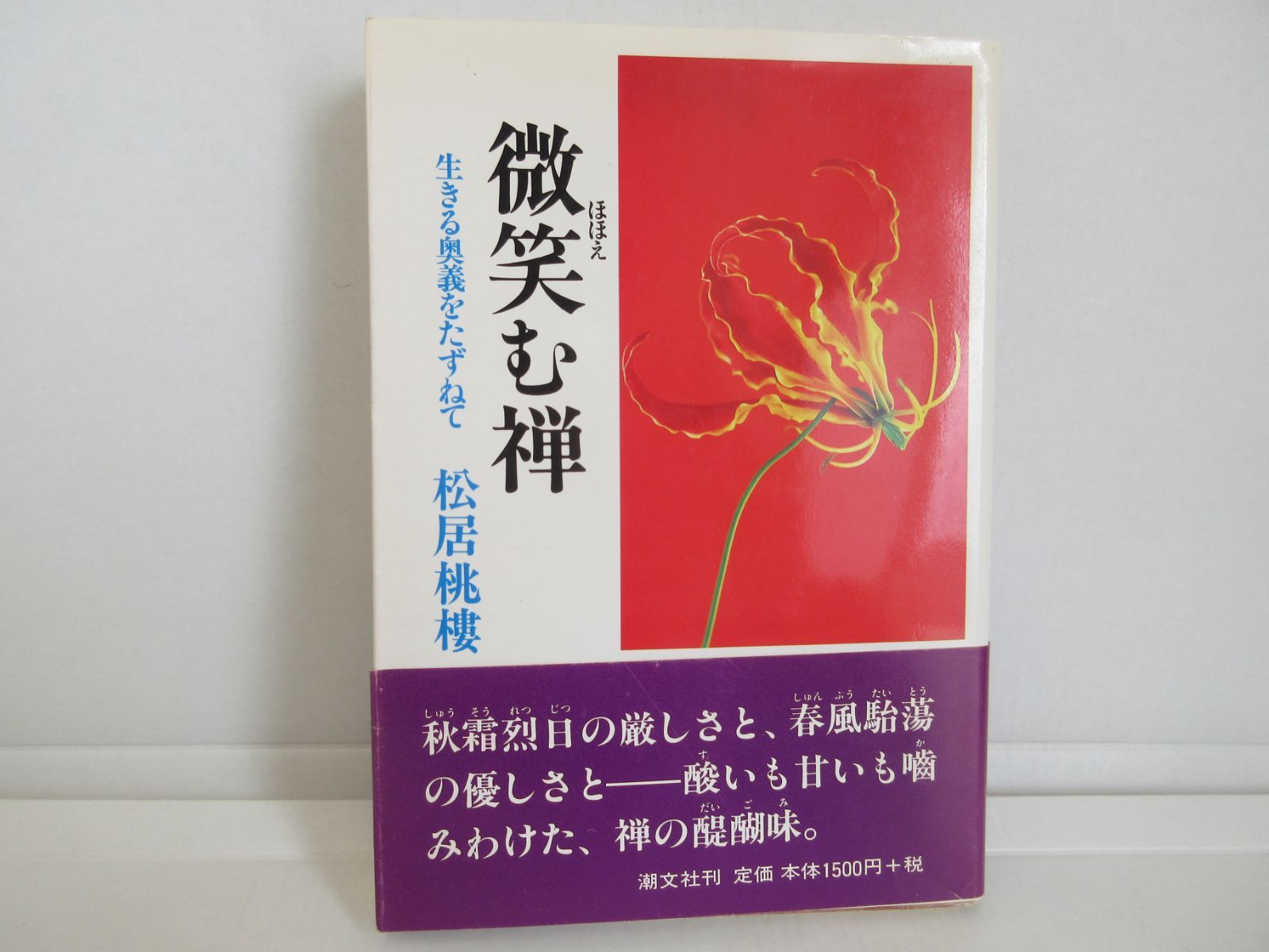 鶴見和子曼荼羅　Ⅸ 環の巻　内発的発展論によるパラダイム転換 コレクション 鶴見和子曼荼羅