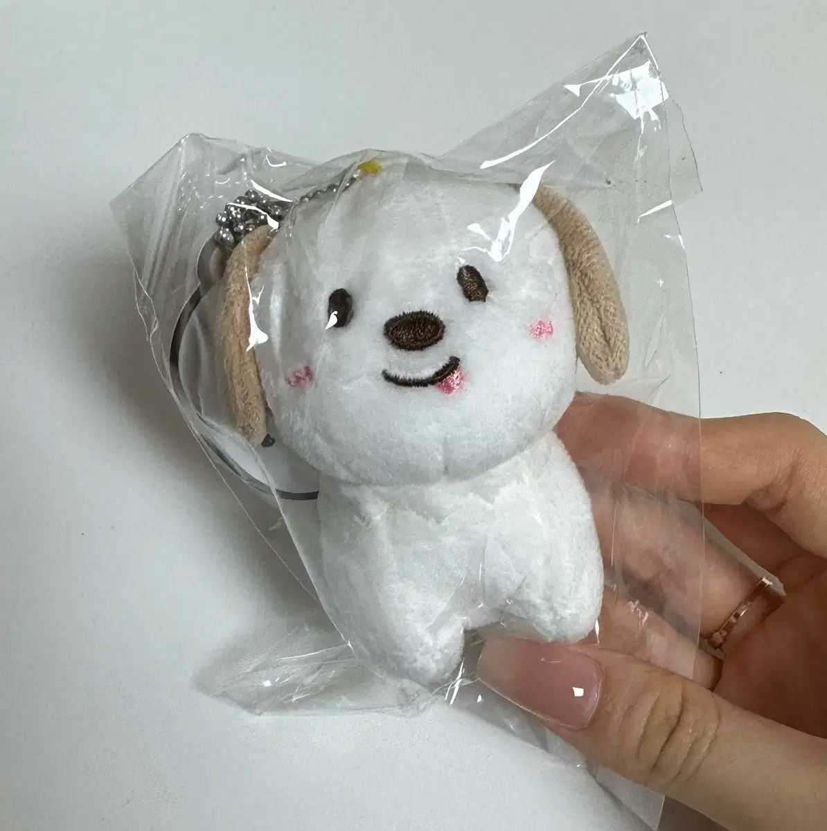 【雷市場（ポンジャン）商品韓国直送】 RIIZE(ライズ) アントン(ANTON) 10cm 人形 ぬいぐるみ ぬい ドラゴン 未開封