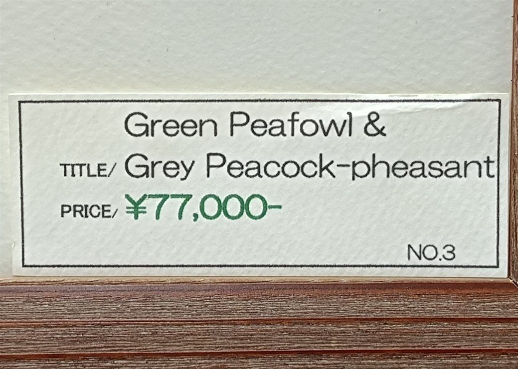 レア Grey Peacock−pheasant 毛鉤／毛鉤 額装 - メルカリ