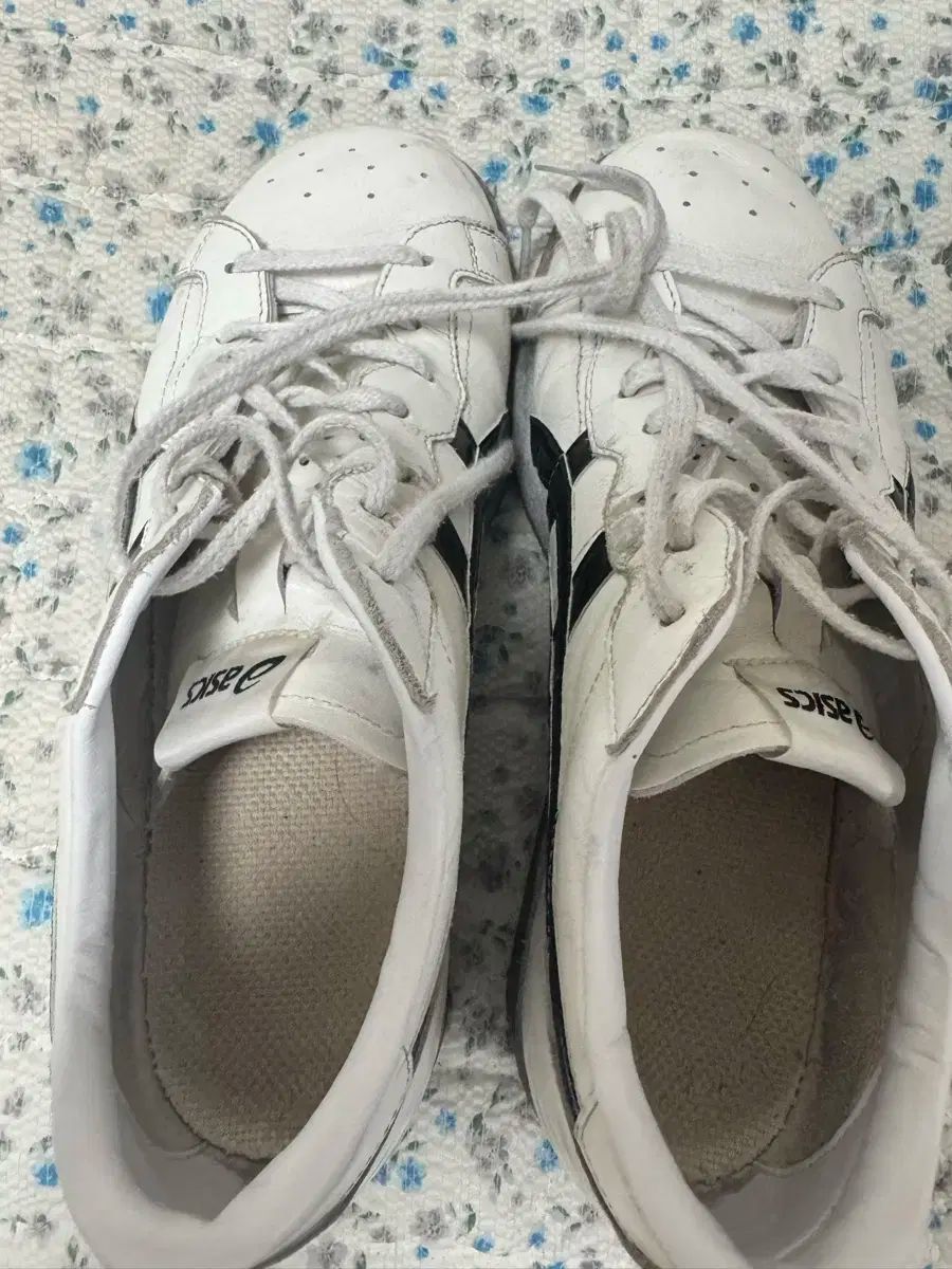 アシックス ウエイトリフティングシューズ 270 WWW_SMP1DAWEKUDUS_SCH_ID