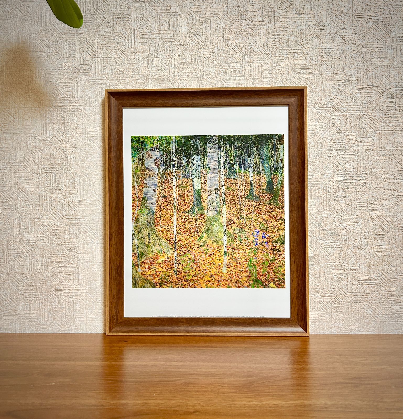 新品額縁付アートポスターグスタフ・クリムトGustav KlimtBirch Forest