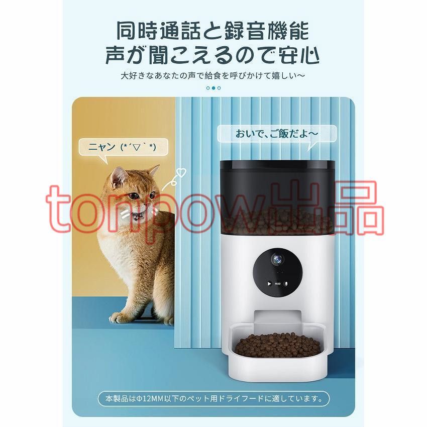 猫 ペット
