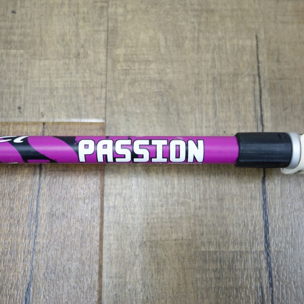 レキ LEKI PASSION VARIO バックカントリー スキー ストック