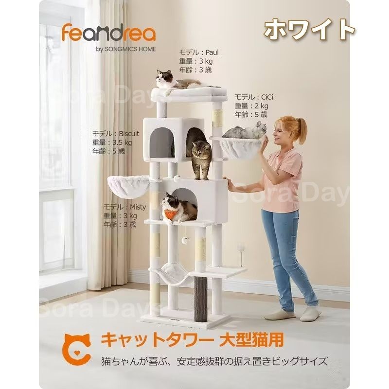 ハンモック2つ 隠れ家2つ