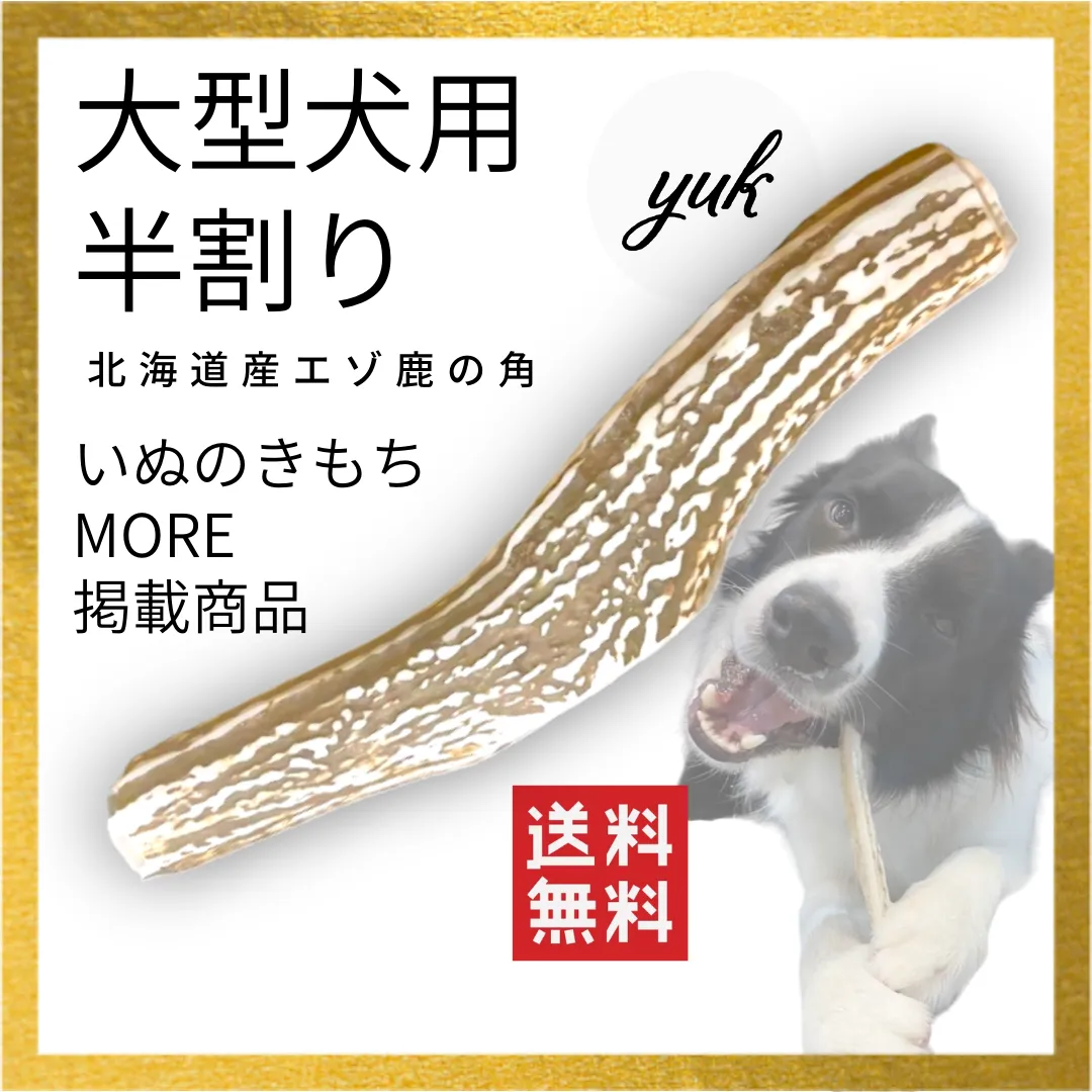 2025年最新】エゾシカ 毛皮の人気アイテム - メルカリ