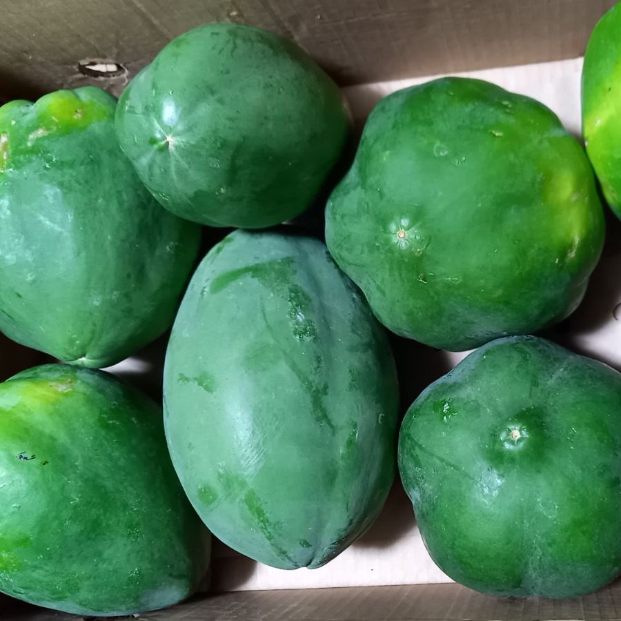 沖縄県産 青パパイヤ 2kg 2~4玉 新品 - メルカリ