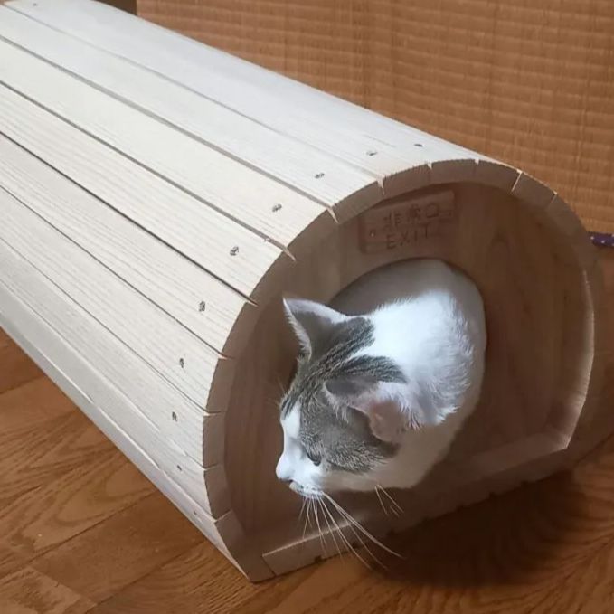 A棟｜キャットハウス ネコハウス