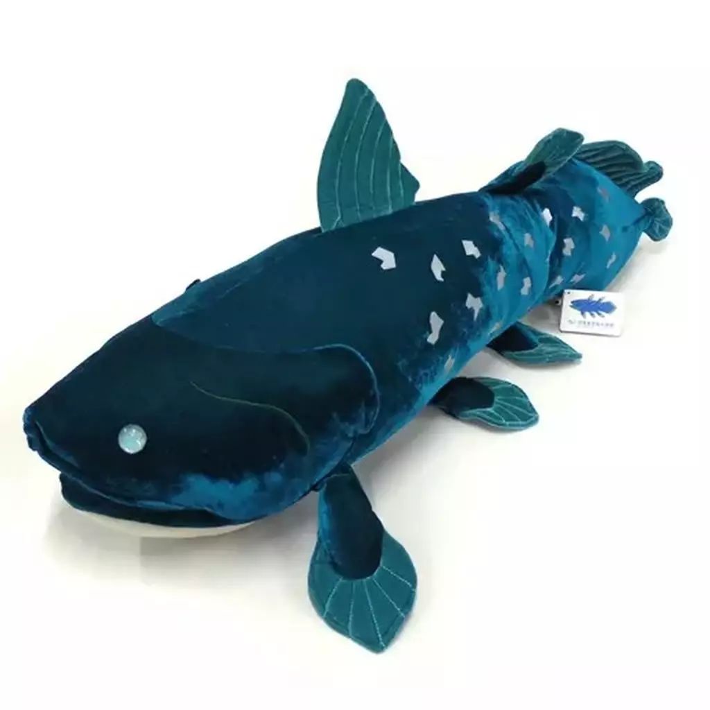 世界で唯一深海をテーマにした「沼津港深海水族館」！シーラカンスや