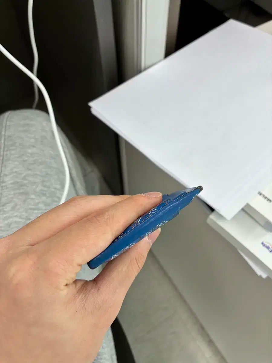 ゴヤール サン