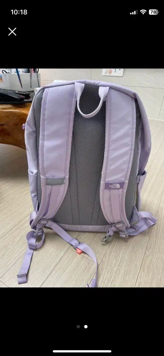 THE NORTH FACE ラベンダーリュック ザ ノース フェイス THE NORTH FACE ☆バックパック IRIDESCENT