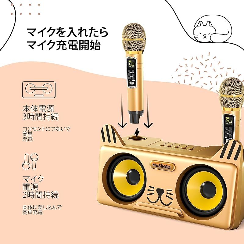 PAシステム