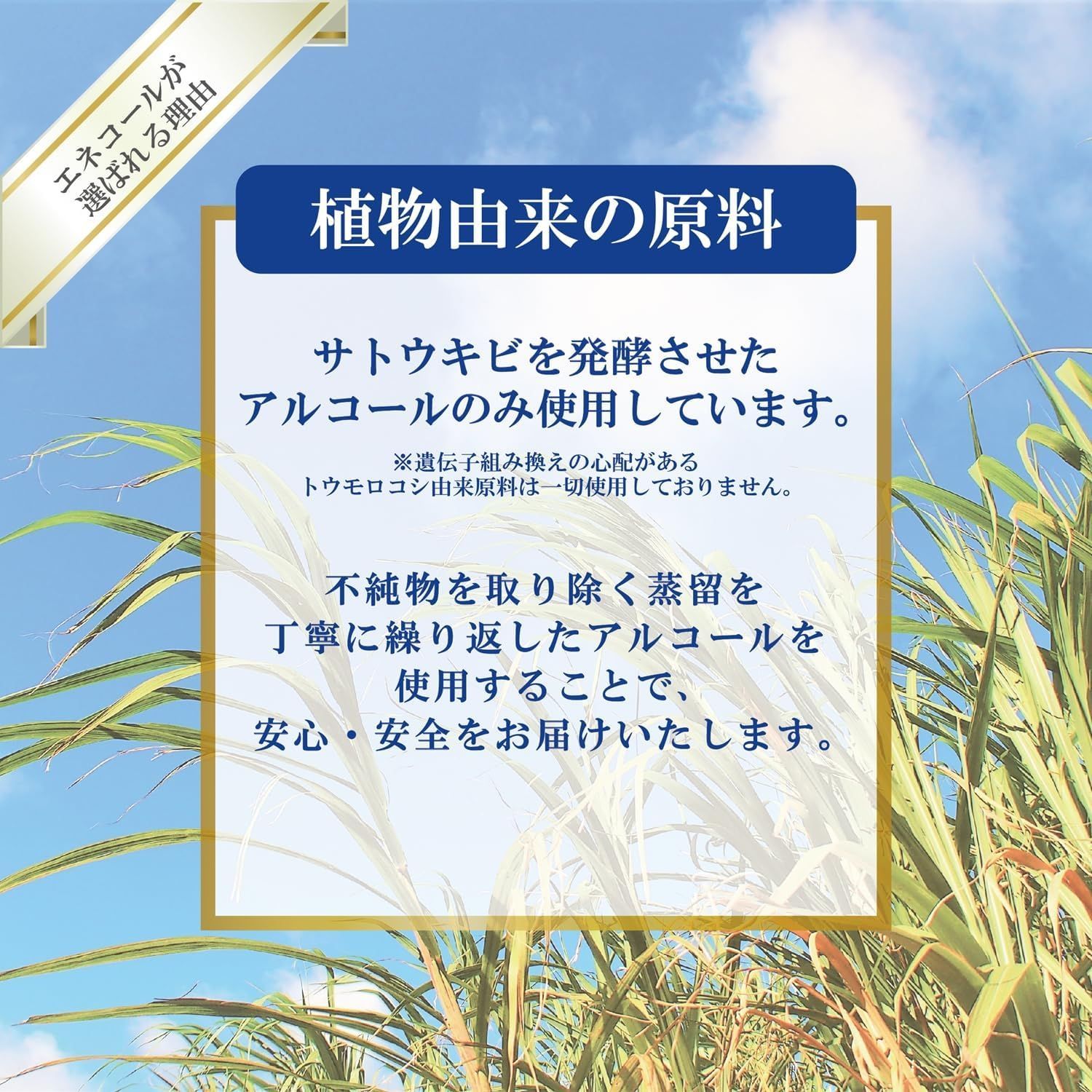 エネコール７５ 75度