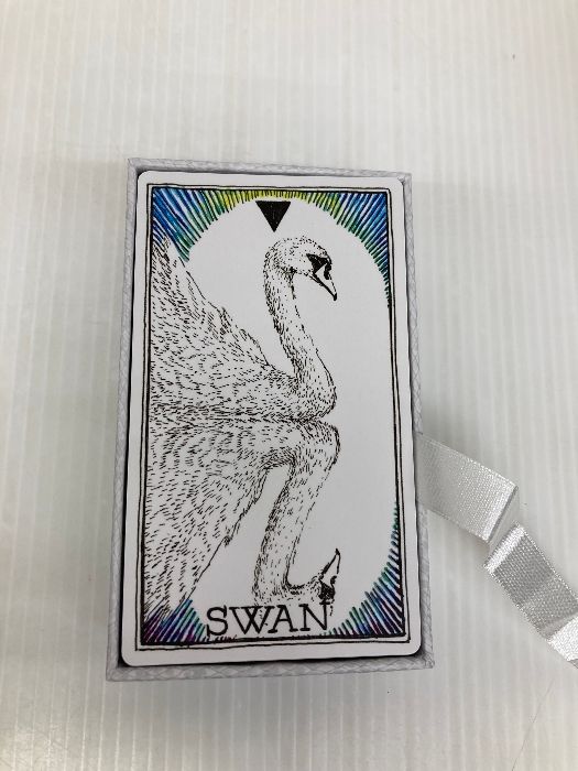 アニマルスピリット 日本語説明書付