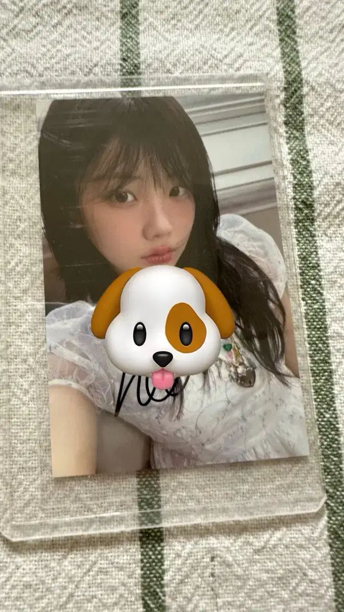 ILLIT ウォンヒ サイン入りトレカ WONHEE｜Yahoo!フリマ（旧