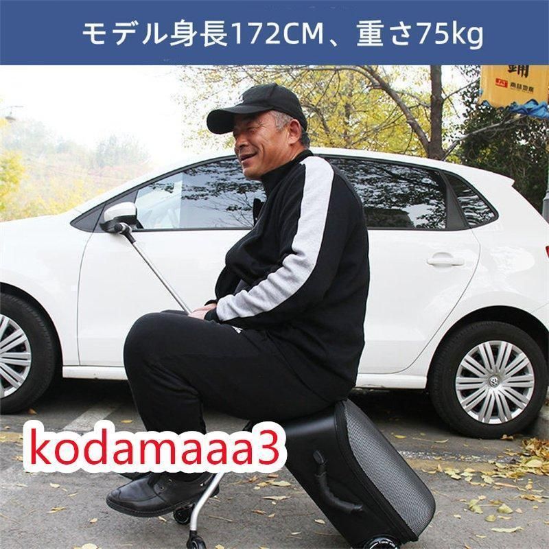 キャリーバッグ 出かけ便利
