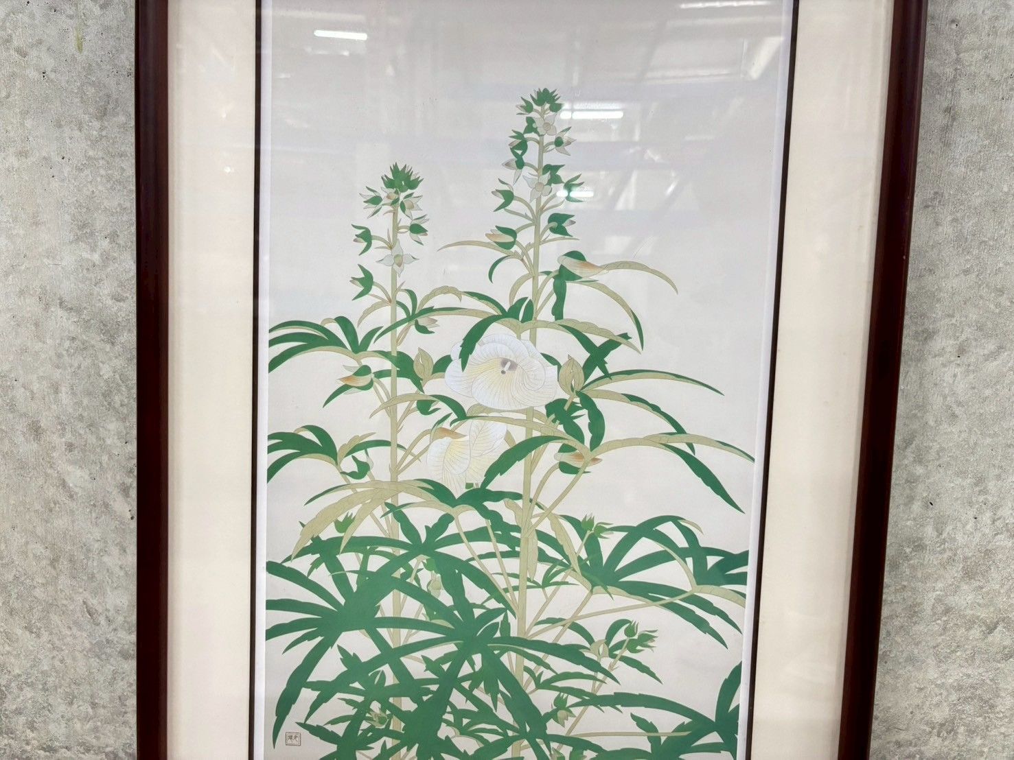 送料無料】 土田麦僊 黄蜀葵 トロロアオイ 絵画 足立美術館発行