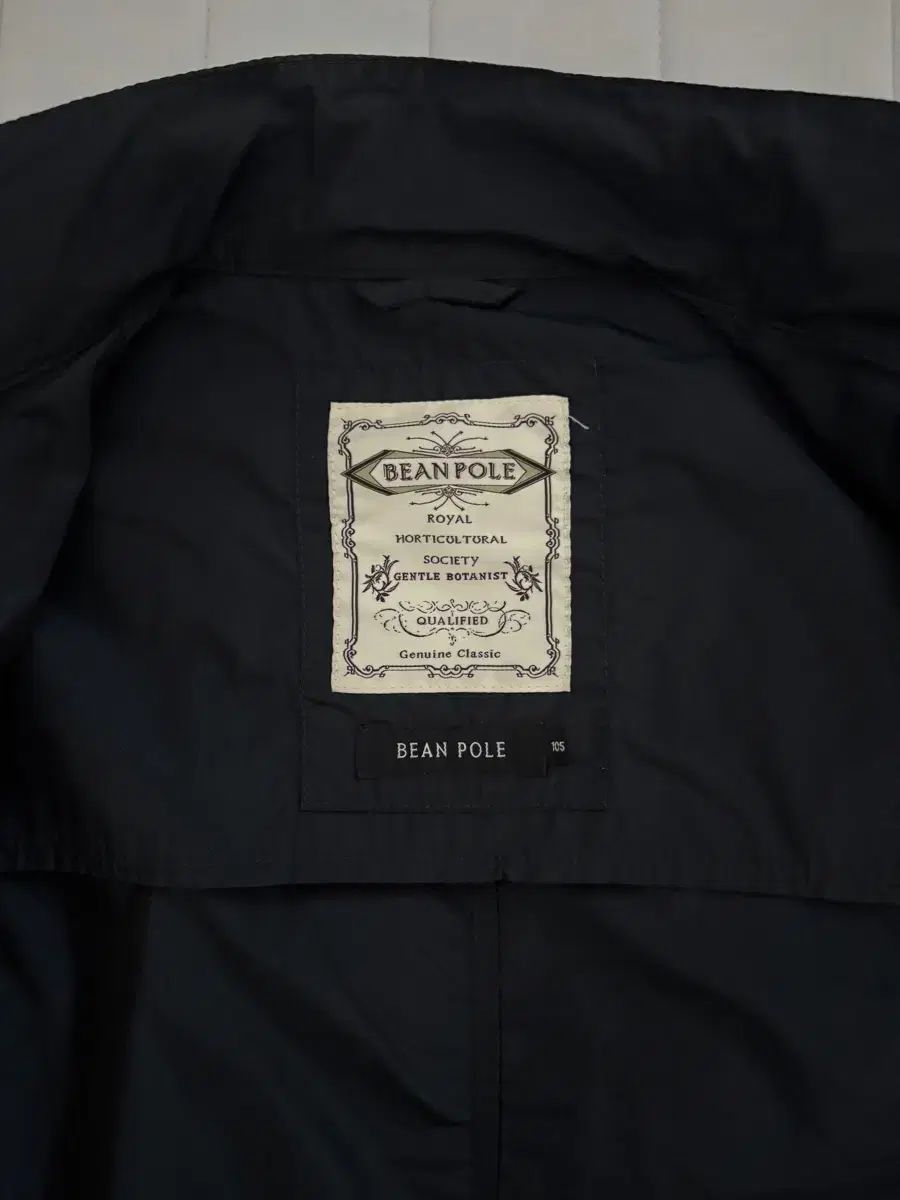 BEAN POLE