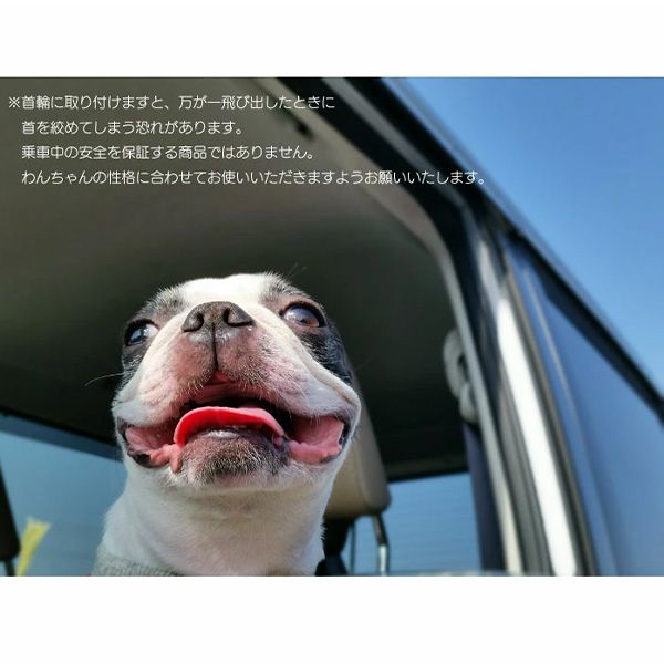 ペット用 シートベルト 犬 飛び出し防止 猫 車 リード 簡単装着 長さ調節可能 旅行 外出 安全 子犬 車移動 安全リード 犬用シートベルト