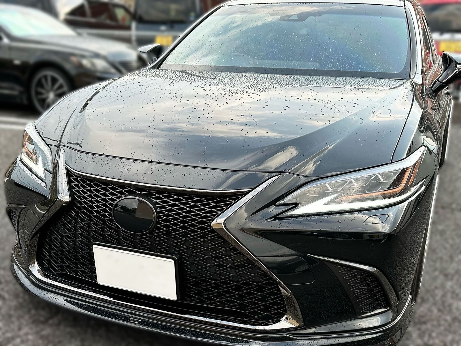 Tint+何度も貼れる エンブレム スモークフィルム(ブラック