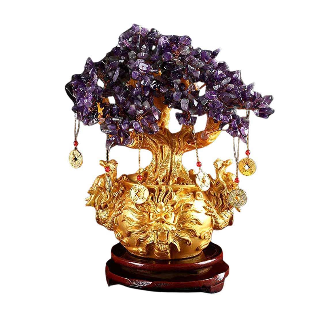 風水 龍の黄金木 ーVer2ー ピンクorパープル 招財樹 金のなる木