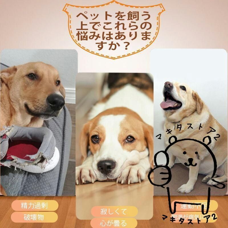 運動不