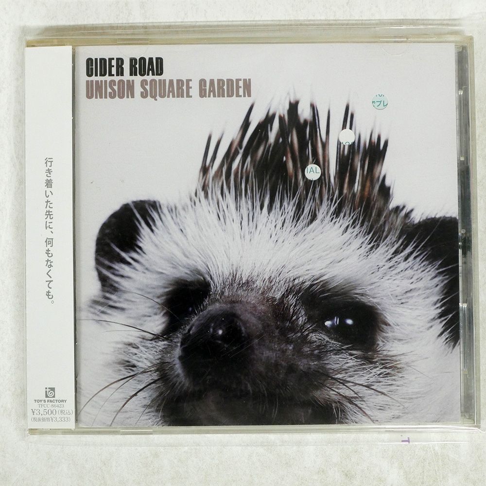 Scouse Wonderland / YTR RECORDS レア 希少