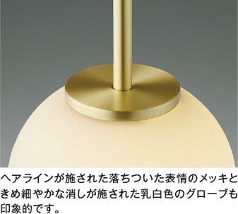 AP54893