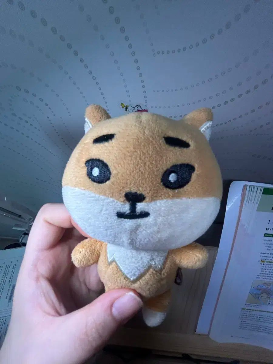 DAY6(デイシックス) ヨンケイ(Young K) 20 年 人形 ぬいぐるみ ぬい