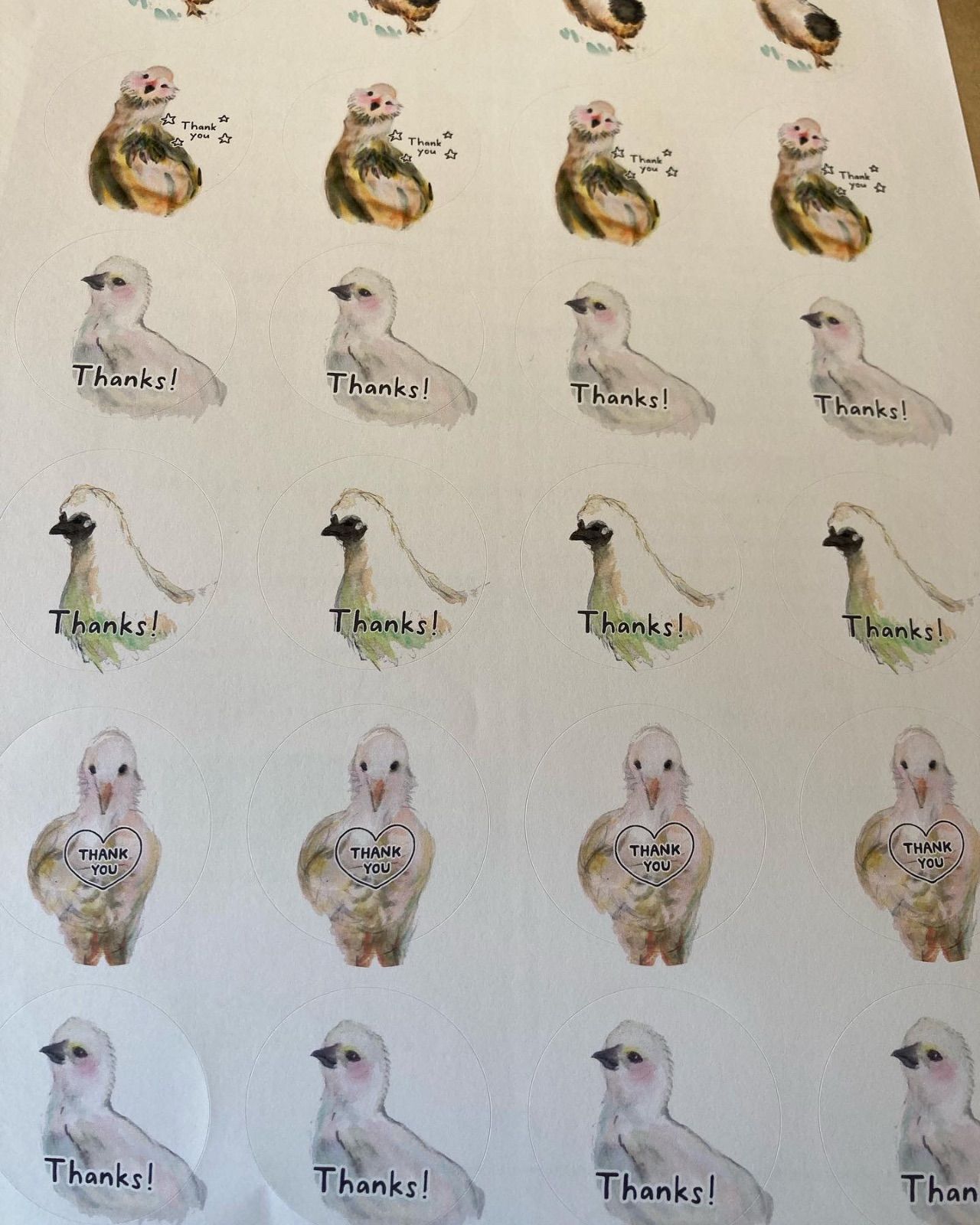にわとり 烏骨鶏 ひよこ 鳥さんシリーズ 4種 - メルカリ