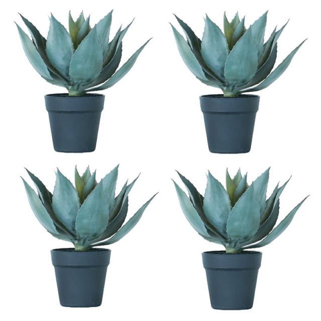 苗木・植木 人工観葉植物 アガベ ポット 32（4個入り）992180 多肉植物 