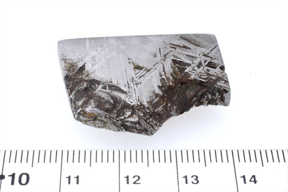 ムオニナルスタ ムオニオナルスタ 23g スライス カット 標本 隕石