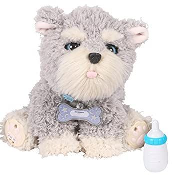 【】ラングスジャパン(RANGS) マイドリームパピー ラッフルズ