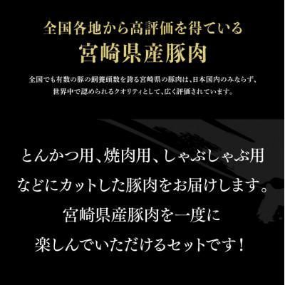ヒルナンデスで紹介!宮崎県産豚肉6種