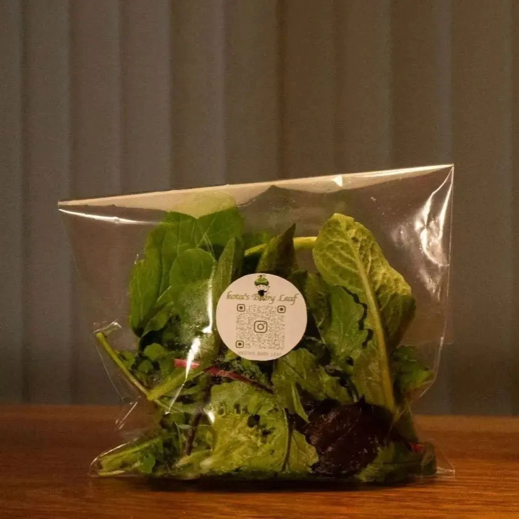 群馬県産ベビーリーフ kota's Baby Leaf 50g x 4袋 - メルカリ