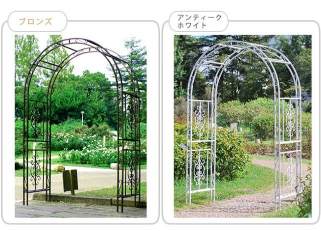 薔薇 フェンス